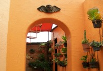 Angel Flores B&B Ajijic - entrance from garden