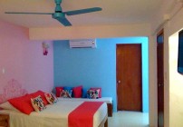 Hotel Catedral Puerto Vallarta Cu,cu,rru,cu,cu,Paloma