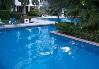 CONDO LANI MARINA DEL REY COMMUNITY - POOL