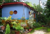 Gypsy Vacation Rental Ajijic Artist Cathy Chalvignac Backyard