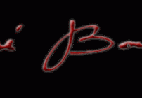 JOSE BALDI ARTIST PUERTO VALLARTA