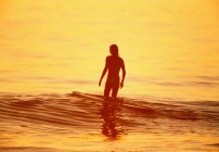 Three Jewels - Punta Mita - Puerto Vallarta - Luxury Yoga & Surf Retreat Three Jewels - Punta Mita - Puerto Vallarta - Luxury Yoga & Surf Retreat