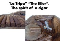 El Gato Gordo Old Town Vallarta Spirit of a Cigar