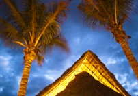 Alamar-Cruz-de-Huanacaxtle)_Riviera-Nayarit